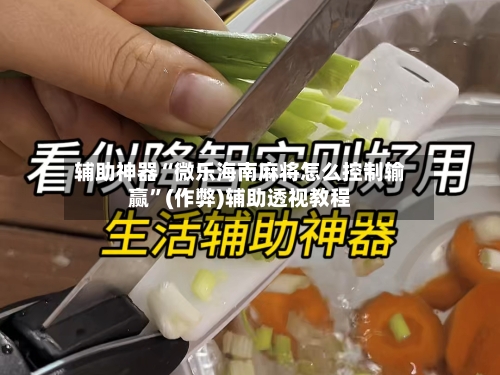 辅助神器“微乐海南麻将怎么控制输赢”(作弊)辅助透视教程-第2张图片