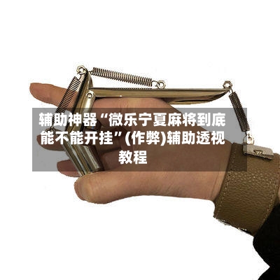 辅助神器“微乐宁夏麻将到底能不能开挂”(作弊)辅助透视教程-第2张图片