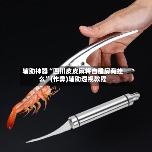 辅助神器“四川皮皮麻将自建房有挂么”(作弊)辅助透视教程