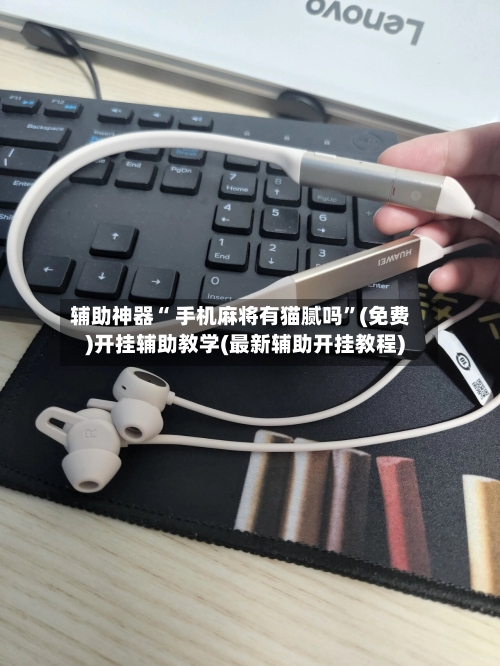 辅助神器“ 手机麻将有猫腻吗”(免费)开挂辅助教学(最新辅助开挂教程)-第2张图片