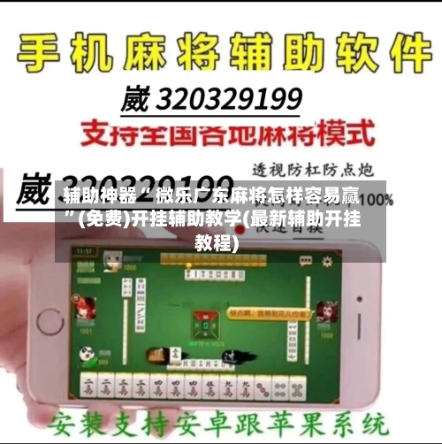 辅助神器“ 微乐广东麻将怎样容易赢”(免费)开挂辅助教学(最新辅助开挂教程)-第2张图片