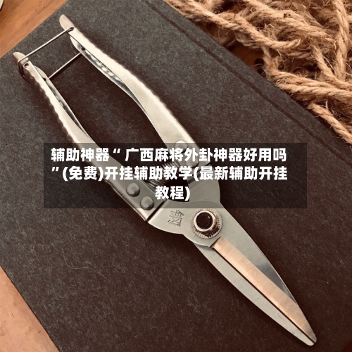 辅助神器“ 广西麻将外卦神器好用吗”(免费)开挂辅助教学(最新辅助开挂教程)-第2张图片