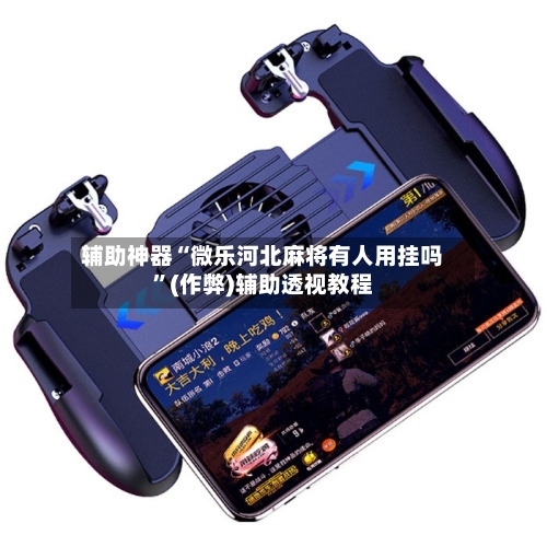 辅助神器“微乐河北麻将有人用挂吗”(作弊)辅助透视教程-第3张图片
