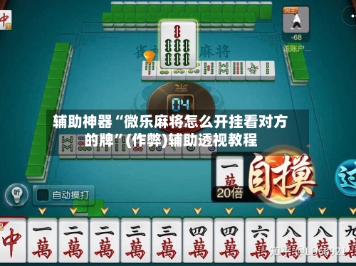 辅助神器“微乐麻将怎么开挂看对方的牌”(作弊)辅助透视教程-第2张图片
