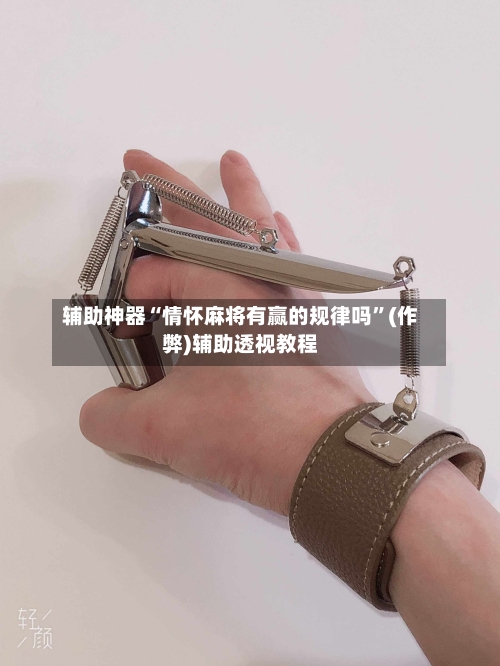 辅助神器“情怀麻将有赢的规律吗”(作弊)辅助透视教程-第2张图片