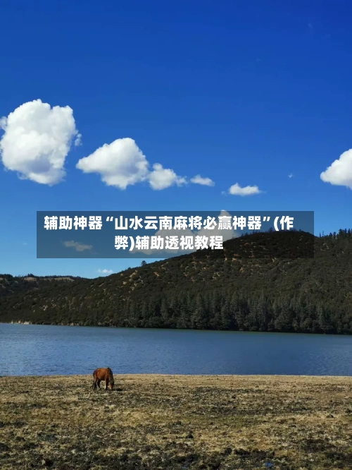 辅助神器“山水云南麻将必赢神器”(作弊)辅助透视教程