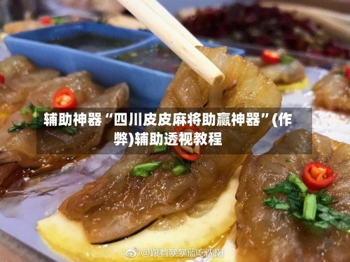 辅助神器“四川皮皮麻将助赢神器”(作弊)辅助透视教程-第2张图片