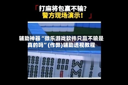 辅助神器“微乐游戏软件只赢不输是真的吗	”(作弊)辅助透视教程-第2张图片