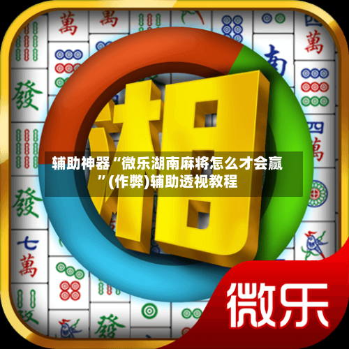 辅助神器“微乐湖南麻将怎么才会赢”(作弊)辅助透视教程