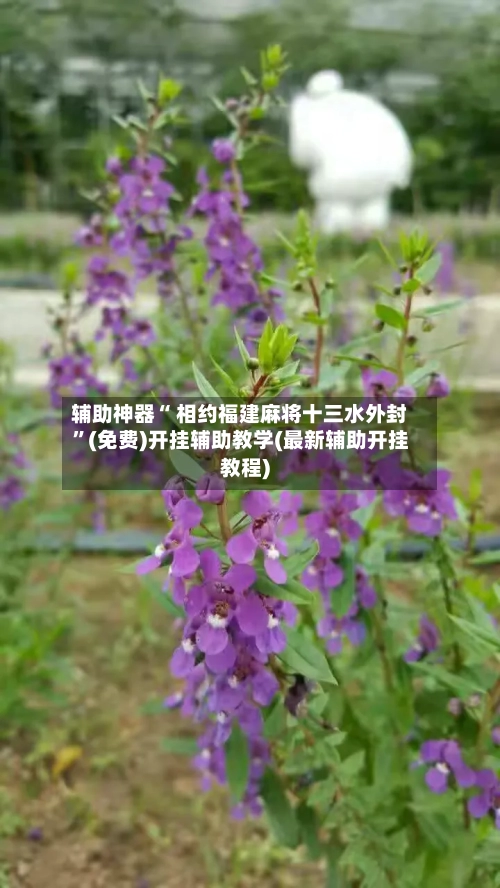 辅助神器“ 相约福建麻将十三水外封	”(免费)开挂辅助教学(最新辅助开挂教程)-第2张图片