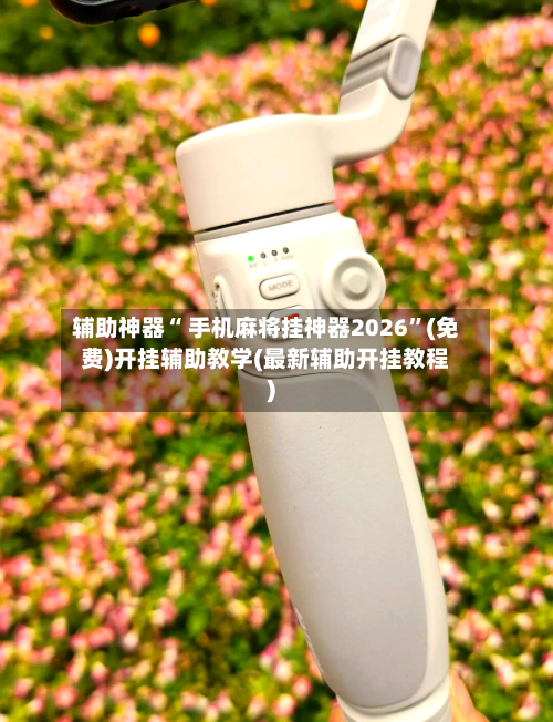 辅助神器“ 手机麻将挂神器2026”(免费)开挂辅助教学(最新辅助开挂教程)-第3张图片