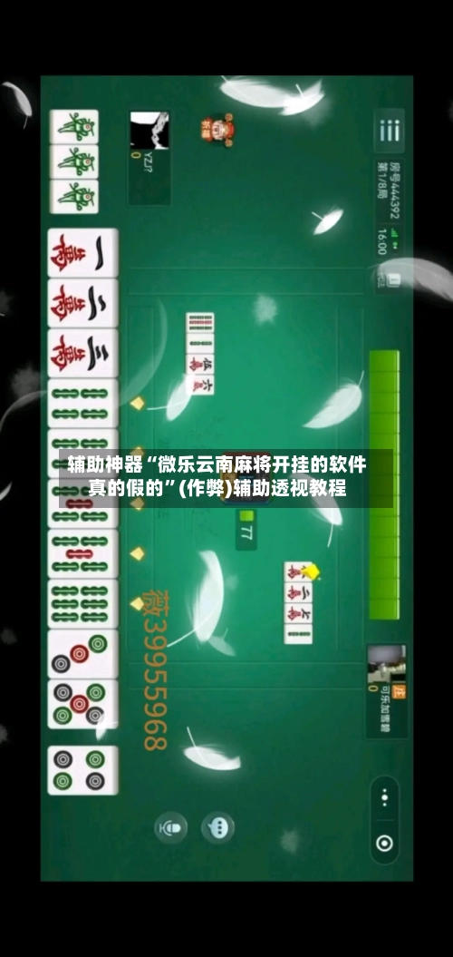 辅助神器“微乐云南麻将开挂的软件真的假的”(作弊)辅助透视教程