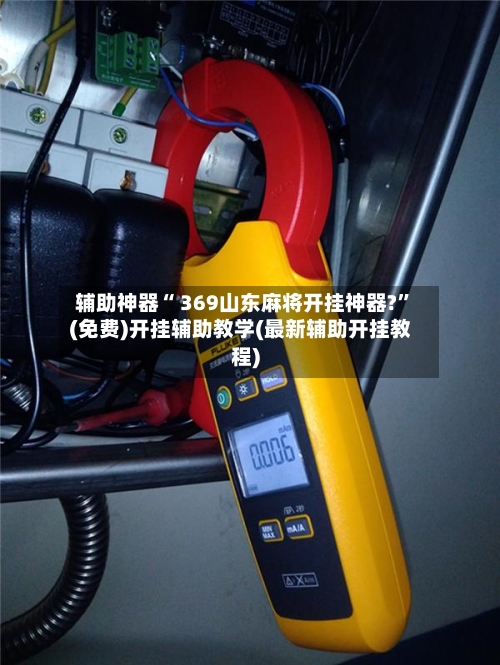 辅助神器“ 369山东麻将开挂神器?”(免费)开挂辅助教学(最新辅助开挂教程)-第2张图片