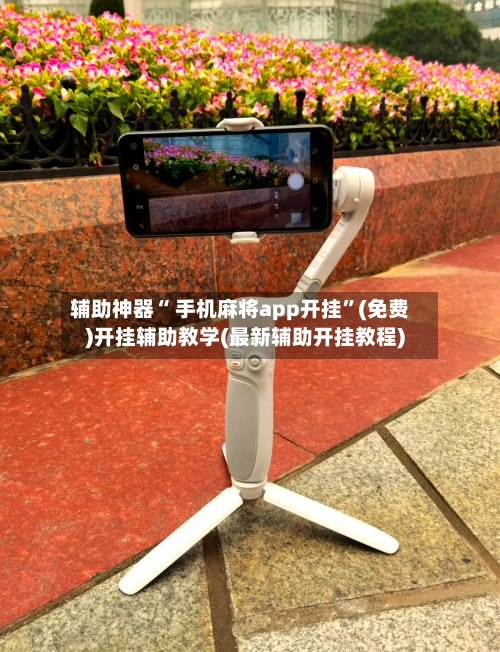 辅助神器“ 手机麻将app开挂”(免费)开挂辅助教学(最新辅助开挂教程)-第3张图片