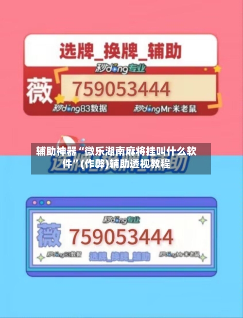 辅助神器“微乐湖南麻将挂叫什么软件”(作弊)辅助透视教程-第2张图片