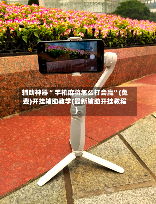 辅助神器“ 手机麻将怎么打会赢”(免费)开挂辅助教学(最新辅助开挂教程)-第2张图片