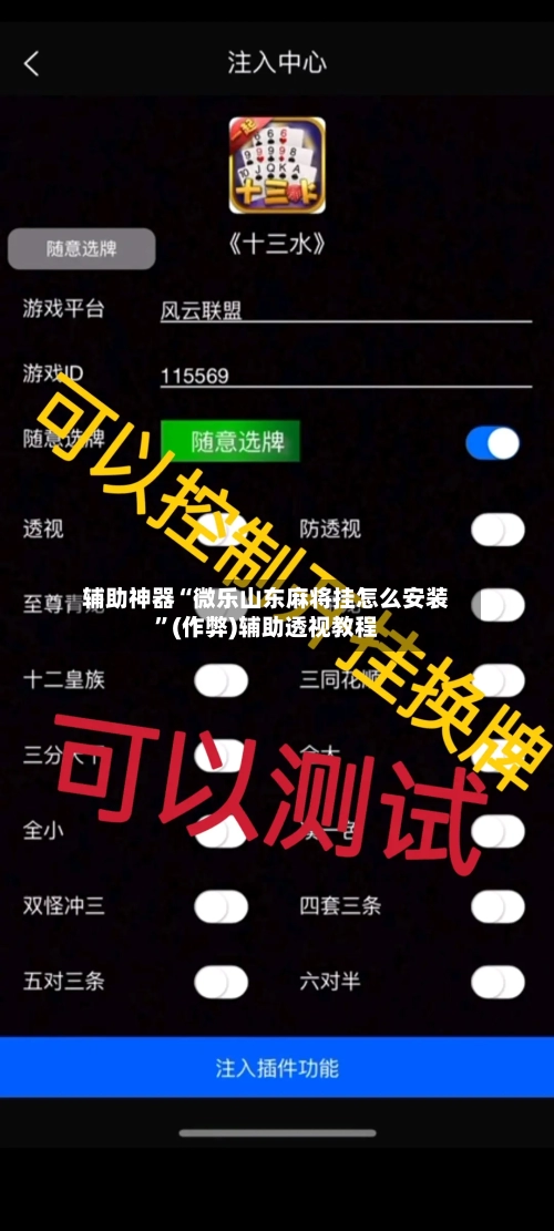辅助神器“微乐山东麻将挂怎么安装”(作弊)辅助透视教程
