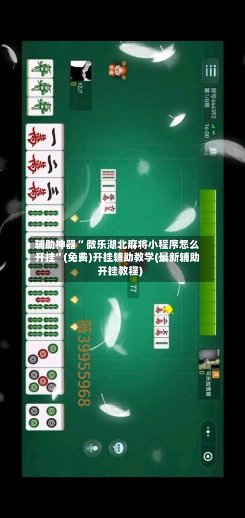 辅助神器“ 微乐湖北麻将小程序怎么开挂”(免费)开挂辅助教学(最新辅助开挂教程)-第2张图片