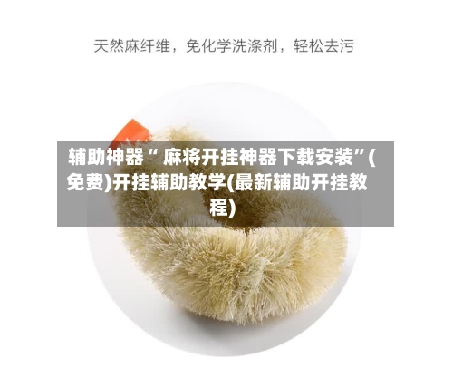 辅助神器“ 麻将开挂神器下载安装	”(免费)开挂辅助教学(最新辅助开挂教程)-第3张图片