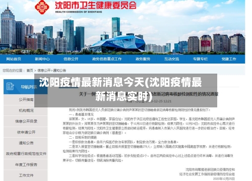 沈阳疫情最新消息今天(沈阳疫情最新消息实时)-第2张图片