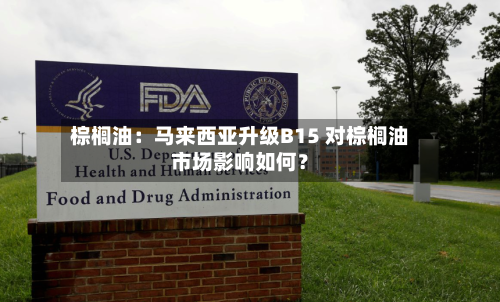 棕榈油：马来西亚升级B15 对棕榈油市场影响如何？-第2张图片