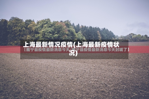 上海最新情况疫情(上海最新疫情状况)-第2张图片