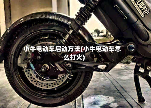 小牛电动车启动方法(小牛电动车怎么打火)-第2张图片