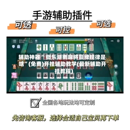辅助神器“ 微乐湖南麻将赢牌规律是啥”(免费)开挂辅助教学(最新辅助开挂教程)-第2张图片