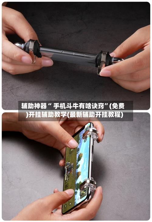 辅助神器“ 手机斗牛有啥诀窍	”(免费)开挂辅助教学(最新辅助开挂教程)-第2张图片