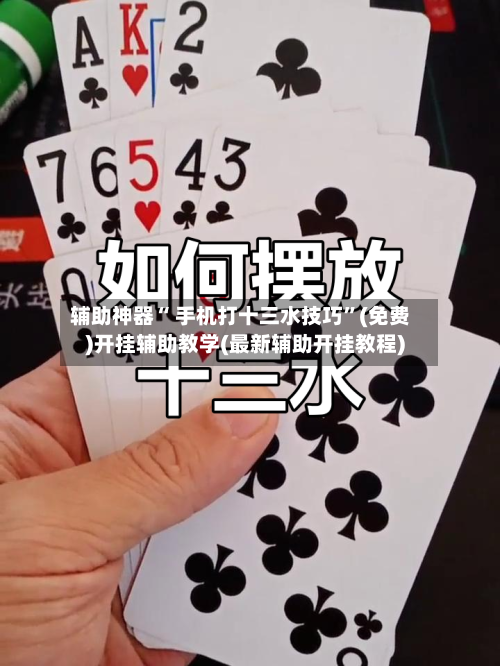 辅助神器“ 手机打十三水技巧	”(免费)开挂辅助教学(最新辅助开挂教程)-第3张图片