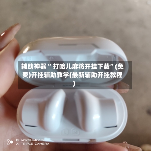 辅助神器“ 打哈儿麻将开挂下载”(免费)开挂辅助教学(最新辅助开挂教程)-第2张图片