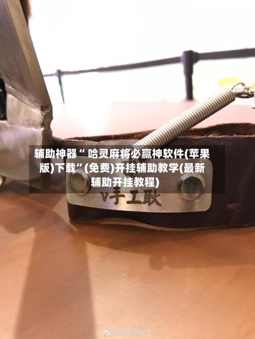 辅助神器“ 哈灵麻将必赢神软件(苹果版)下载”(免费)开挂辅助教学(最新辅助开挂教程)-第2张图片