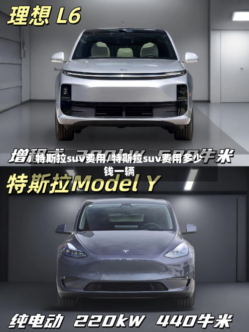 特斯拉suv费用/特斯拉suv费用多少钱一辆