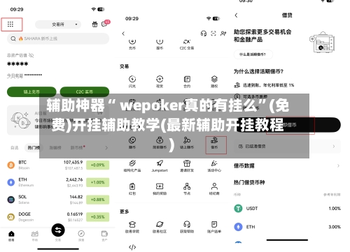 辅助神器“ wepoker真的有挂么”(免费)开挂辅助教学(最新辅助开挂教程)-第2张图片