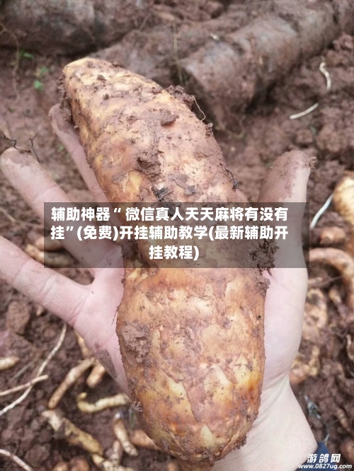 辅助神器“ 微信真人天天麻将有没有挂”(免费)开挂辅助教学(最新辅助开挂教程)