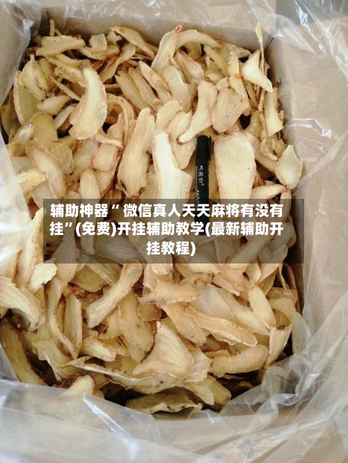 辅助神器“ 微信真人天天麻将有没有挂”(免费)开挂辅助教学(最新辅助开挂教程)-第2张图片