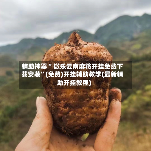 辅助神器“ 微乐云南麻将开挂免费下载安装”(免费)开挂辅助教学(最新辅助开挂教程)