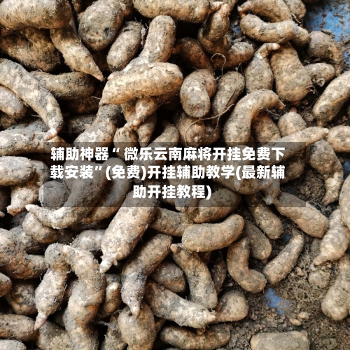 辅助神器“ 微乐云南麻将开挂免费下载安装”(免费)开挂辅助教学(最新辅助开挂教程)-第2张图片