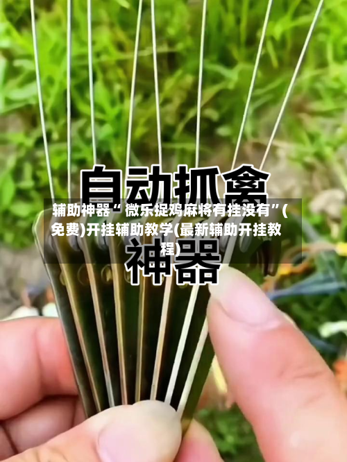辅助神器“ 微乐捉鸡麻将有挂没有”(免费)开挂辅助教学(最新辅助开挂教程)-第2张图片