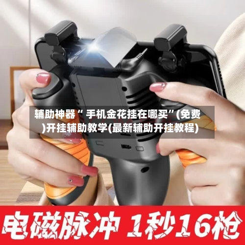 辅助神器“ 手机金花挂在哪买”(免费)开挂辅助教学(最新辅助开挂教程)-第2张图片