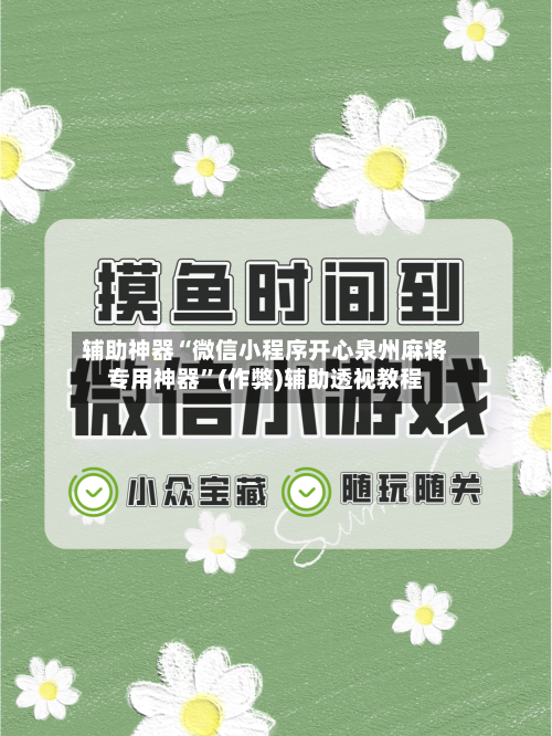 辅助神器“微信小程序开心泉州麻将专用神器”(作弊)辅助透视教程-第3张图片