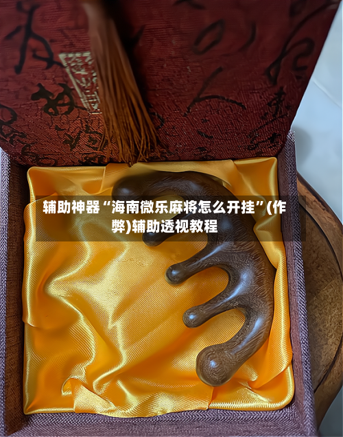 辅助神器“海南微乐麻将怎么开挂”(作弊)辅助透视教程-第2张图片