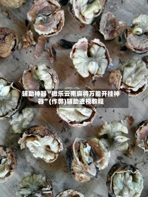 辅助神器“微乐云南麻将万能开挂神器”(作弊)辅助透视教程