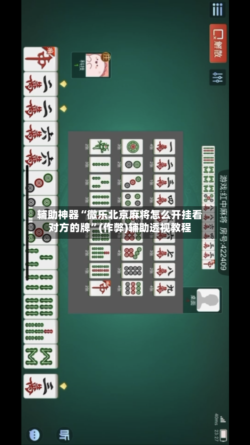 辅助神器“微乐北京麻将怎么开挂看对方的牌”(作弊)辅助透视教程