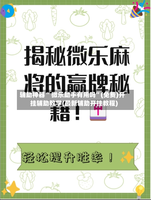辅助神器“ 微乐助手有用吗	”(免费)开挂辅助教学(最新辅助开挂教程)-第3张图片