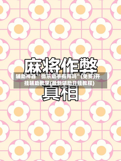 辅助神器“ 微乐助手有用吗”(免费)开挂辅助教学(最新辅助开挂教程)-第2张图片
