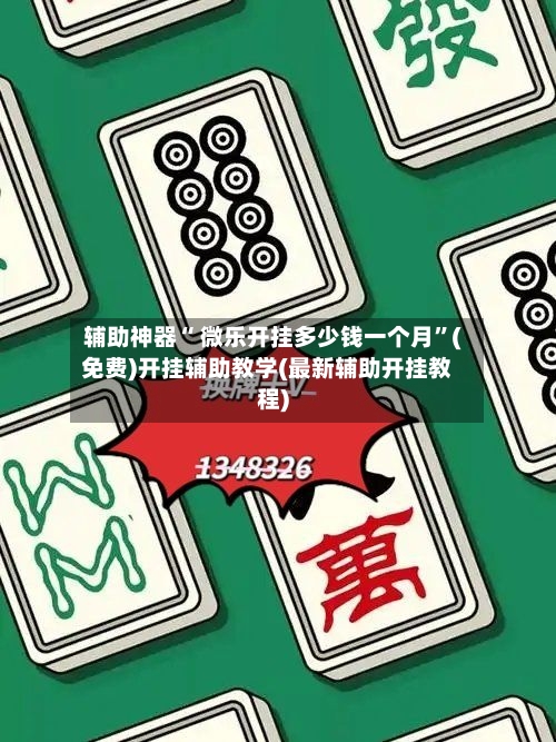 辅助神器“ 微乐开挂多少钱一个月”(免费)开挂辅助教学(最新辅助开挂教程)-第3张图片