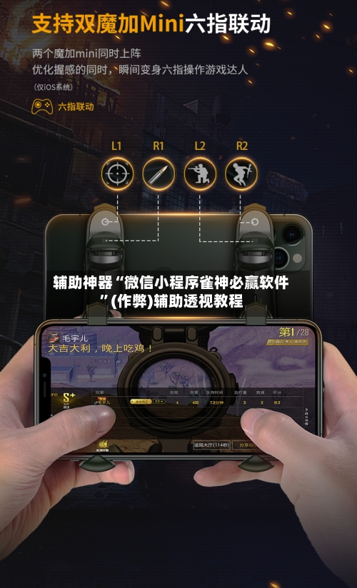 辅助神器“微信小程序雀神必赢软件”(作弊)辅助透视教程-第2张图片