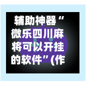 辅助神器“微乐四川麻将可以开挂的软件”(作弊)辅助透视教程-第2张图片