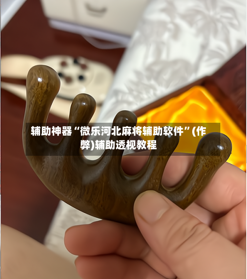 辅助神器“微乐河北麻将辅助软件”(作弊)辅助透视教程-第2张图片